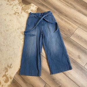 Anthropologie pilcro and the letterpress Paperbag wide leg crop pants